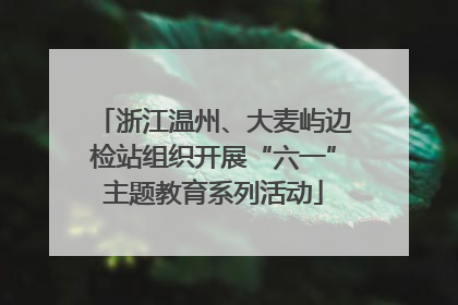 浙江温州、大麦屿边检站组织开展“六一”主题教育系列活动