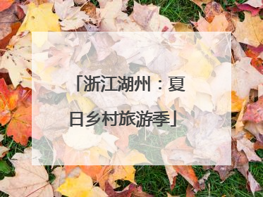 浙江湖州：夏日乡村旅游季