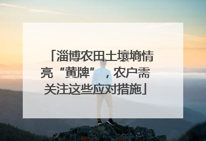 淄博农田土壤墒情亮“黄牌”，农户需关注这些应对措施