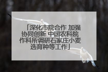 深化市院合作 加强协同创新 中国农科院作科所调研石家庄小麦选育种等工作
