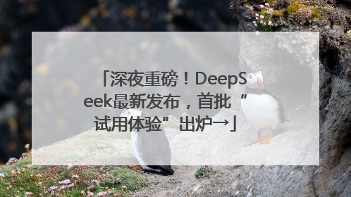 深夜重磅！DeepSeek最新发布，首批“试用体验”出炉→