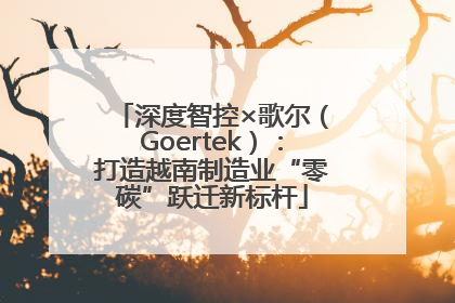 深度智控×歌尔（Goertek）：打造越南制造业“零碳”跃迁新标杆