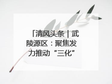 清风头条｜武陵源区：聚焦发力推动“三化”建设年行动