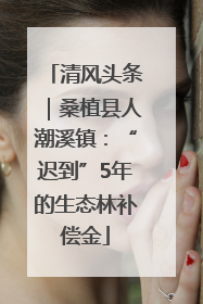 清风头条｜桑植县人潮溪镇：“迟到”5年的生态林补偿金