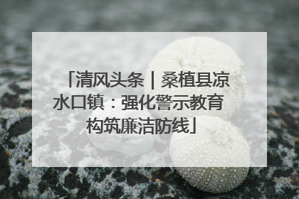 清风头条｜桑植县凉水口镇：强化警示教育 构筑廉洁防线