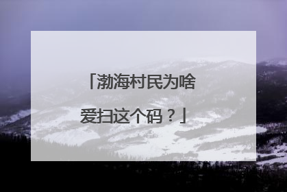 渤海村民为啥爱扫这个码？