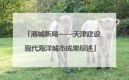 港城新局——天津建设现代海洋城市成果综述