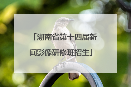 湖南省第十四届新闻影像研修班招生