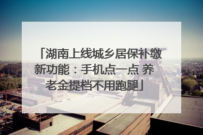 湖南上线城乡居保补缴新功能：手机点一点 养老金提档不用跑腿