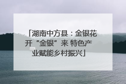 湖南中方县：金银花开“金银”来 特色产业赋能乡村振兴