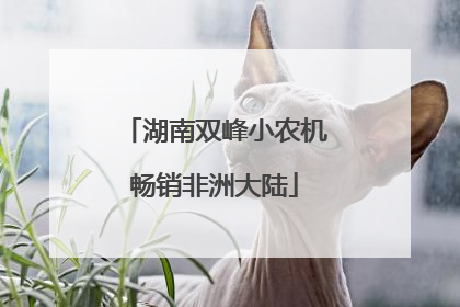 湖南双峰小农机畅销非洲大陆