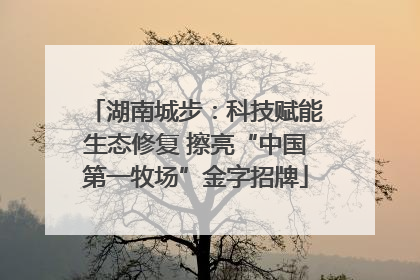 湖南城步：科技赋能生态修复 擦亮“中国第一牧场”金字招牌