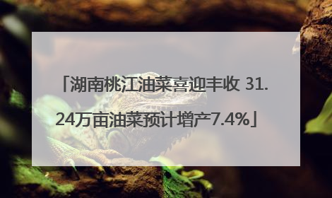 湖南桃江油菜喜迎丰收 31.24万亩油菜预计增产7.4%