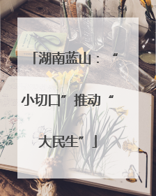 湖南蓝山：“小切口”推动“大民生”