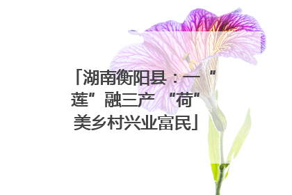 湖南衡阳县：一“莲”融三产 “荷”美乡村兴业富民