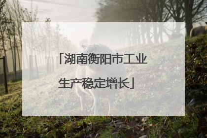 湖南衡阳市工业生产稳定增长