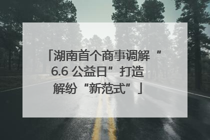 湖南首个商事调解“6.6 公益日”打造解纷“新范式”