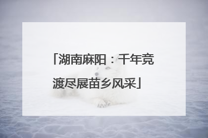 湖南麻阳：千年竞渡尽展苗乡风采