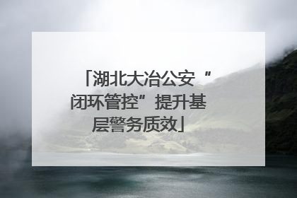 湖北大冶公安“闭环管控”提升基层警务质效