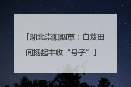 湖北崇阳烟草：白芨田间扬起丰收“号子”