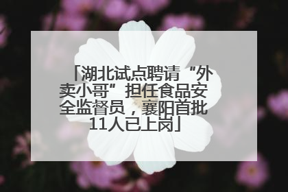 湖北试点聘请“外卖小哥”担任食品安全监督员，襄阳首批11人已上岗