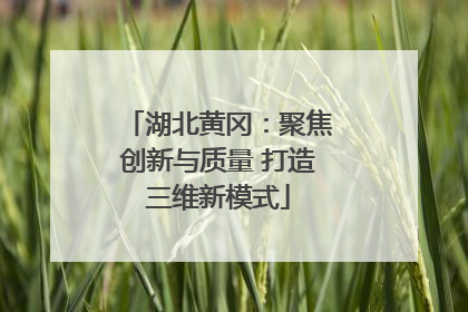 湖北黄冈：聚焦创新与质量 打造三维新模式