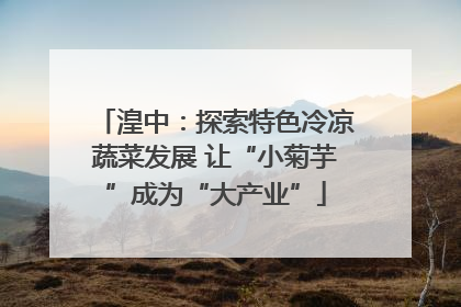 湟中：探索特色冷凉蔬菜发展 让“小菊芋”成为“大产业”