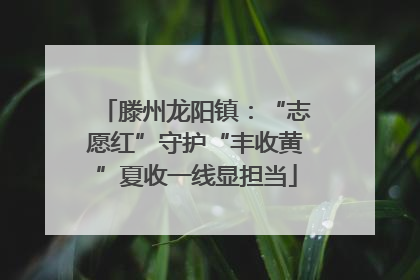 滕州龙阳镇：“志愿红”守护“丰收黄”夏收一线显担当