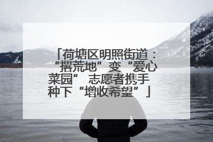 荷塘区明照街道：“撂荒地”变“爱心菜园” 志愿者携手种下“增收希望”