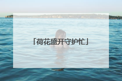 荷花盛开守护忙