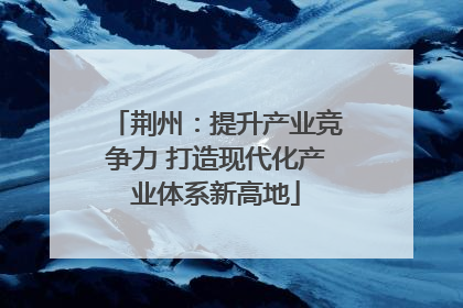 荆州：提升产业竞争力 打造现代化产业体系新高地