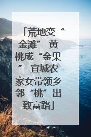 荒地变“金滩” 黄桃成“金果” 宜城农家女带领乡邻“桃”出致富路