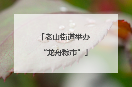 老山街道举办“龙舟粽市”