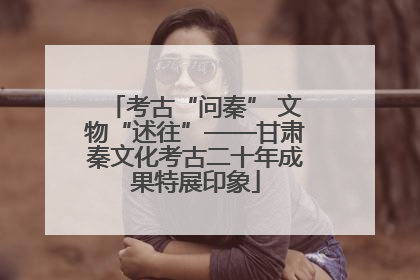 考古“问秦” 文物“述往”——甘肃秦文化考古二十年成果特展印象
