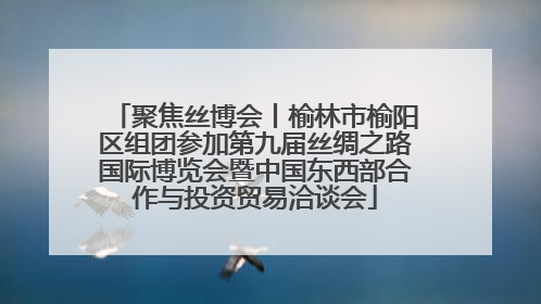 聚焦丝博会丨榆林市榆阳区组团参加第九届丝绸之路国际博览会暨中国东西部合作与投资贸易洽谈会