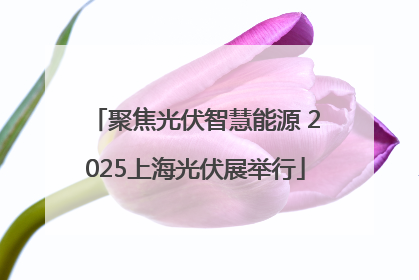 聚焦光伏智慧能源 2025上海光伏展举行