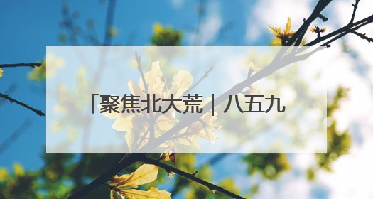 聚焦北大荒｜八五九农场深耕“林长制” 守护“生态绿”