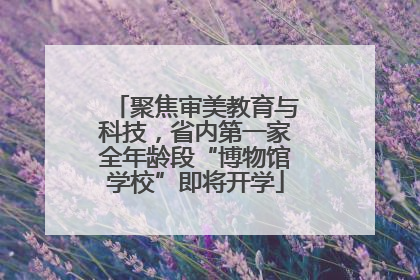 聚焦审美教育与科技，省内第一家全年龄段“博物馆学校”即将开学