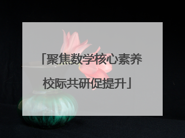 聚焦数学核心素养 校际共研促提升