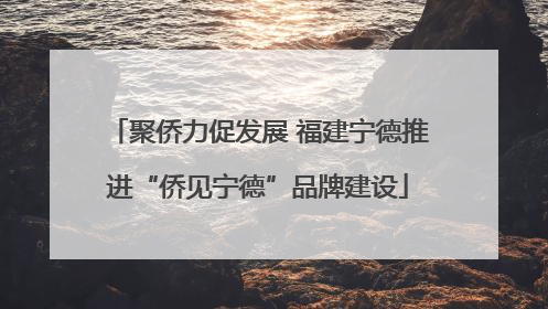 聚侨力促发展 福建宁德推进“侨见宁德”品牌建设