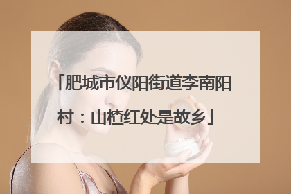 肥城市仪阳街道李南阳村：山楂红处是故乡