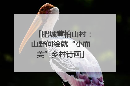 肥城黄柏山村：山野间绘就“小而美”乡村诗画
