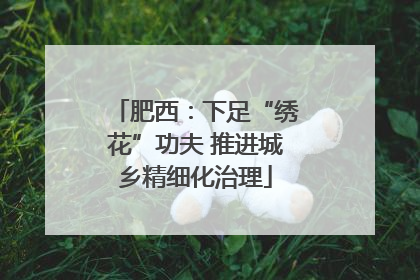 肥西：下足“绣花”功夫 推进城乡精细化治理