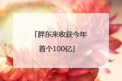 胖东来收获今年首个100亿
