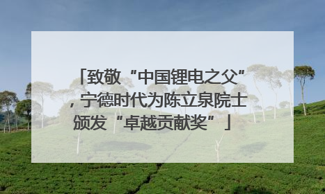 致敬“中国锂电之父”，宁德时代为陈立泉院士颁发“卓越贡献奖”