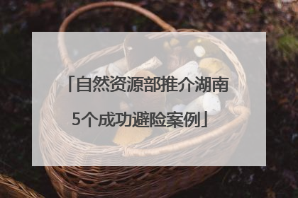 自然资源部推介湖南5个成功避险案例