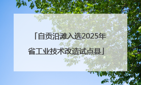 自贡沿滩入选2025年省工业技术改造试点县