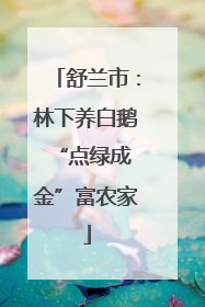 舒兰市：林下养白鹅 “点绿成金”富农家