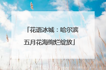 花语冰城：哈尔滨五月花海绚烂绽放