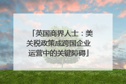 英国商界人士：美关税政策成跨国企业运营中的关键障碍